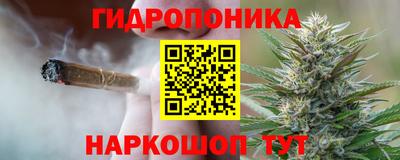 ГАЛЛЮЦИНОГЕННЫЕ ГРИБЫ Заводоуковск