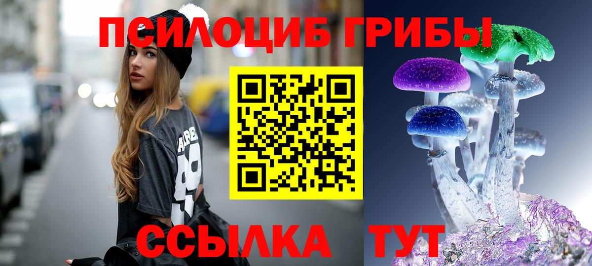 Галлюциногенные грибы прущие грибы Лосино-Петровский